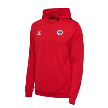 Sweat Hummel HMLAUTHENTIC PL Homme/Enfant SDV