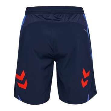 Shorts HMLBLAZE26 Pro Training  